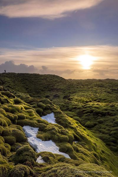 backlight landscape